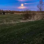 Am Seegrund Ahlbeck (Vorpommern-Greifswald)