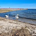 Am Seegrund * Ahlbeck (Vorpommern-Greifswald)