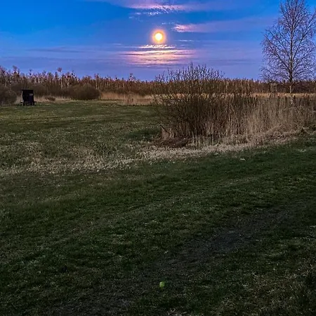 Am Seegrund Ahlbeck (Vorpommern-Greifswald)
