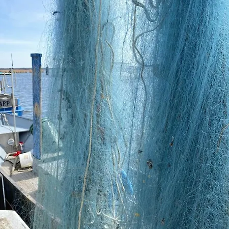 Am Seegrund Сasa de vacaciones Ahlbeck (Vorpommern-Greifswald)