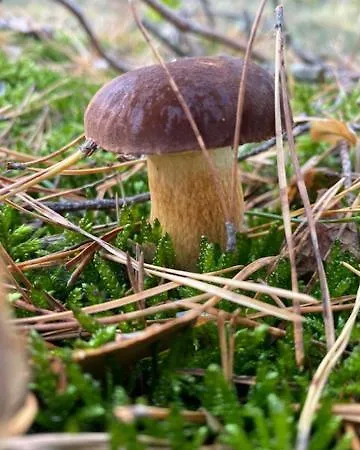 Am Seegrund Сasa de vacaciones