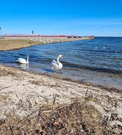 Am Seegrund * Ahlbeck (Vorpommern-Greifswald)