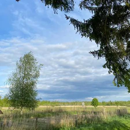 Am Seegrund * Ahlbeck (Vorpommern-Greifswald)