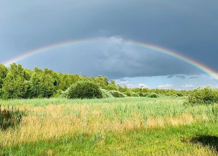Am Seegrund 度假居 Ahlbeck (Vorpommern-Greifswald)