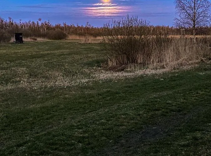 Am Seegrund Ahlbeck (Vorpommern-Greifswald)