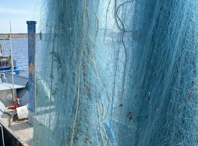 Am Seegrund 度假居 Ahlbeck (Vorpommern-Greifswald)