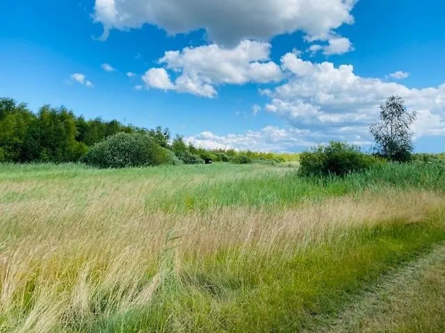 Am Seegrund Ahlbeck (Vorpommern-Greifswald)