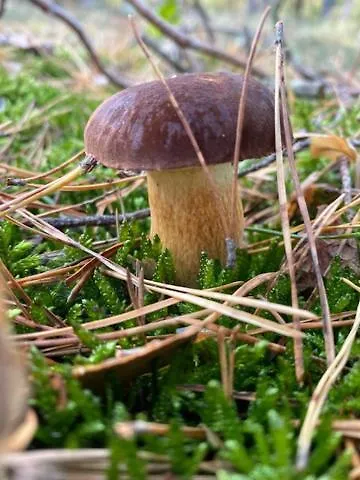 Am Seegrund 度假居