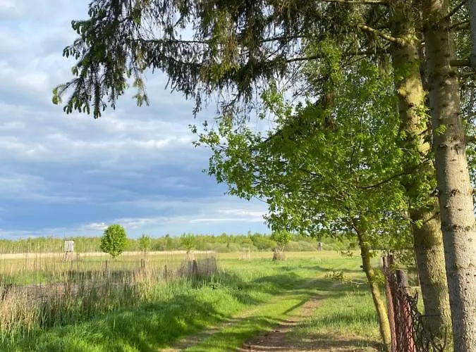 Am Seegrund 度假居 Ahlbeck (Vorpommern-Greifswald)